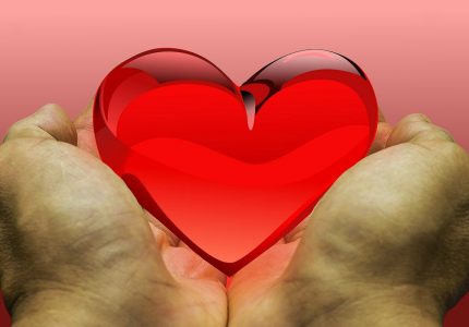 Asian American Institute for Public Policy - AAIPP Needs your support