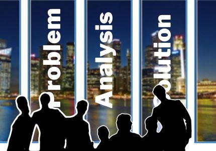 Asian American Institute for Public Policy - AAIPP Analysis & Solution